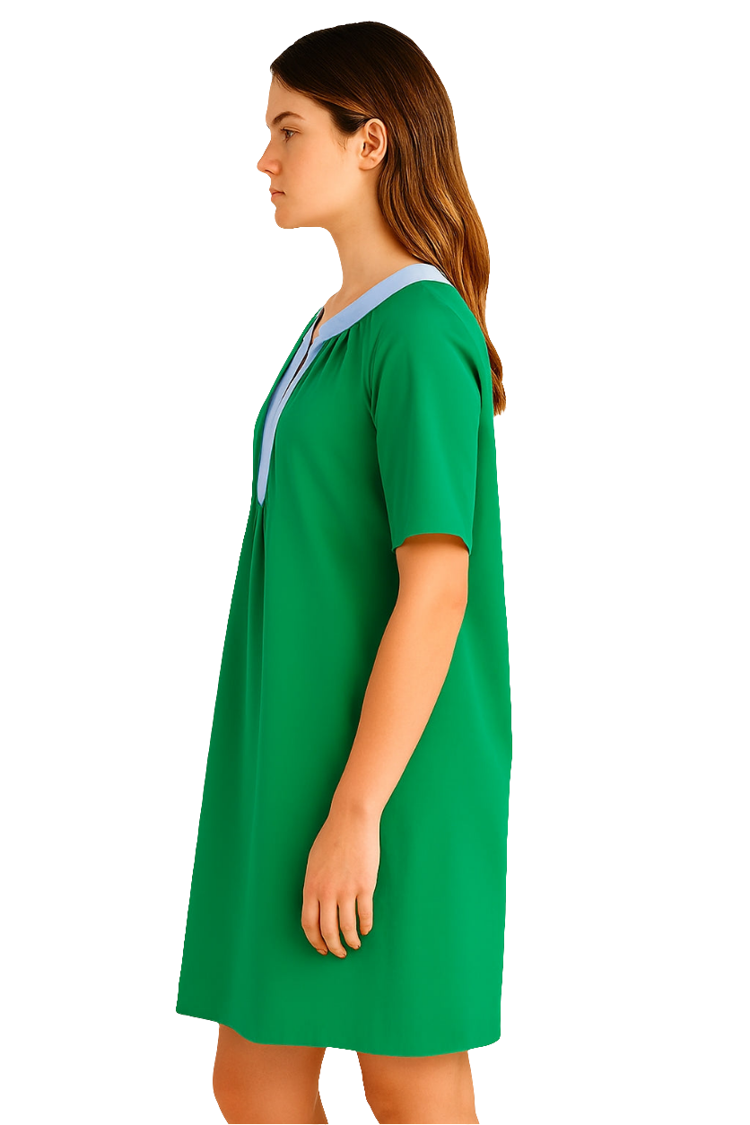 Short Sleeve Dress Contrast Trim